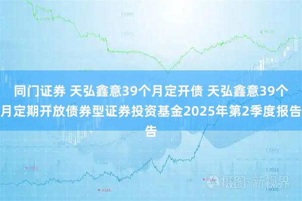 同门证券 天弘鑫意39个月定开债 天弘鑫意39个月定期开放债券型证券投资基金2025年第2季度报告