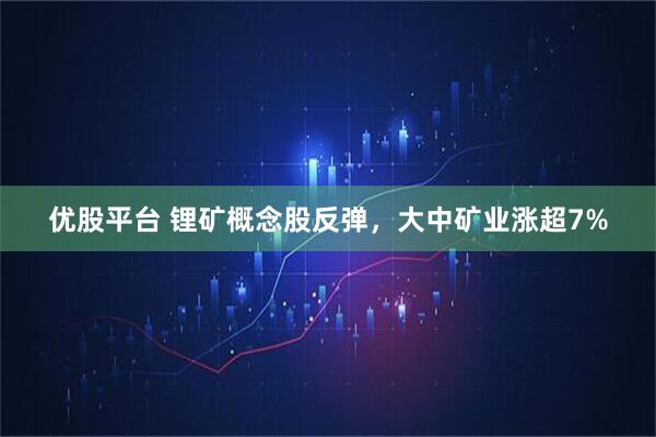 优股平台 锂矿概念股反弹，大中矿业涨超7%